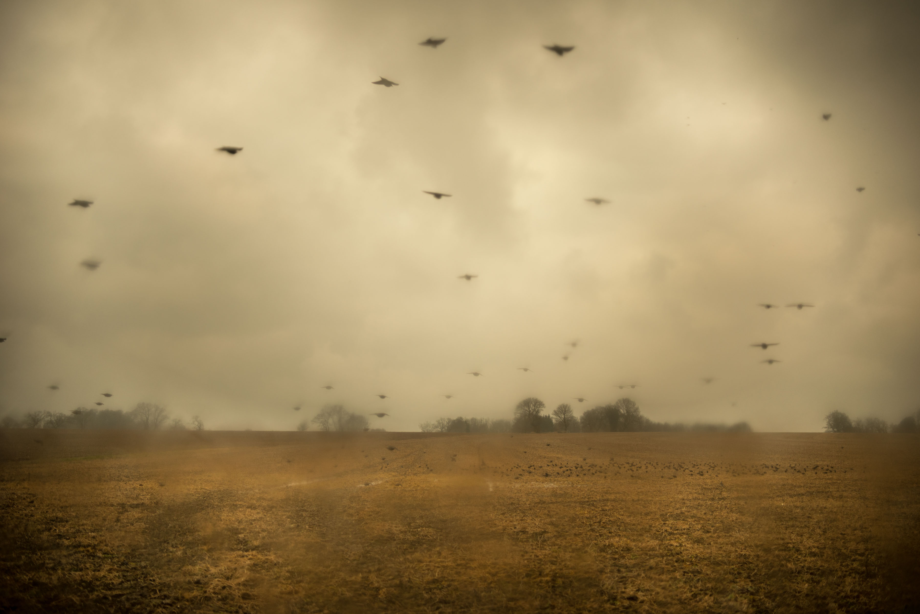 Obscura — Web3 Photography Platform